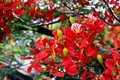 2014-06-15-14h39m56  - Philippines