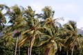 2014-06-23-17h14m01  - Philippines