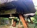 2014-06-21-07h47m33  - Philippines