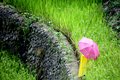 2014-06-21-14h31m24  - Philippines