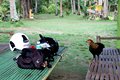 2014-06-23-16h33m00  - Philippines