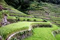 2014-06-21-11h59m07  - Philippines