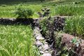 2014-06-21-12h15m52  - Philippines