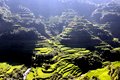 2014-06-22-07h50m27  - Philippines