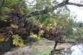 2014-12-24-13h27m29 2015 01 07 Laos & C