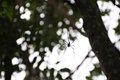 2014-12-24-13h53m44 2015 01 07 Laos & C
