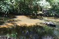 2014-12-28-10h42m50 2015 01 07 Laos & C