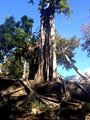 2014-12-28-15h13m48 2015 01 07 Laos & C