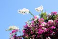 2014-12-30-14h53m20 2015 01 07 Laos & C