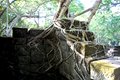 2014-12-28-15h41m33 2015 01 07 Laos & C