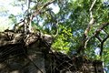 2014-12-28-15h05m41 2015 01 07 Laos & C