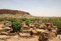 20080409 - 0250f - Mali