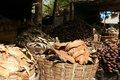 20080409 - 0025 - Mali