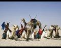 20080409 - 0000p12b - Mali