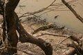 20080409 - 0426 - Mali