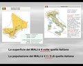 20080409 - 0000g - Mali
