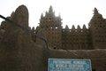 20080409 - 0193 - Mali