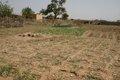 20080409 - 0176f - Mali