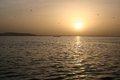 20080409 - 0572 - Mali