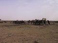 20080409 - 0693i - Mali
