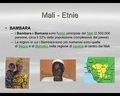 20080409 - 0001e01 - Mali