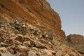 20080409 - 0392 - Mali