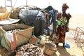 20080409 - 0584 - Mali