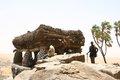 20080409 - 0393 - Mali