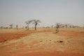 20080409 - 0514 - Mali