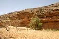 20080409 - 0361 - Mali