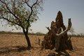 20080409 - 0176b - Mali