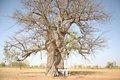 20080409 - 0072 - Mali