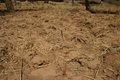 20080409 - 0358 - Mali