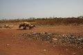 20080409 - 0055 - Mali
