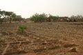 20080409 - 0349aa - Mali
