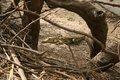 20080409 - 0425 - Mali