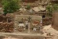 20080409 - 0411 - Mali