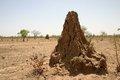 20080409 - 0176a - Mali