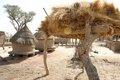 20080409 - 0122d - Mali