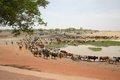 20080409 - 0772 - Mali