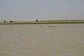 20080409 - 0643 - Mali