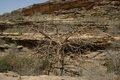 20080409 - 0365 - Mali