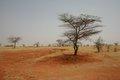 20080409 - 0515 - Mali