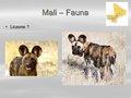 20080409 - 0000jj - Mali
