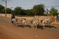 20080409 - 0741a - Mali