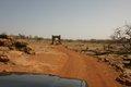 20080409 - 0333 - Mali