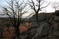 20080409 - 0313 - Mali