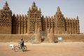 20080409 - 0193d - Mali