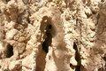 20080409 - 0176ee - Mali