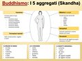 Diapositiva206